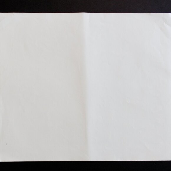 TRAVAUX-PIEGAN #2 Edward Sheriff Curtis Print - Picture 8 of 8